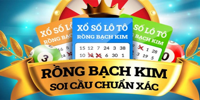 Tổng quan về soi cầu Rồng Bạch Kim 666